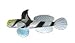 Clearly Charming Striped Goby Silver and Enamel Pin