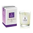 CASA&nbsp;&nbsp;�\�C�L�����h��&nbsp;�~�j&nbsp;�p�[�v��&nbsp;�u���b�N�x���[&���X�N