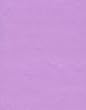 SheetWorld Fitted Oval Crib Sheet (Stokke Sleepi) - Solid Lilac Woven - Made In USA