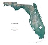 Florida Topographic Wall Map by Raven Maps, Print on Paper (Non-Laminated)
