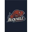 Bucknell Bisons 7' 8" x 10' 9" Team Spirit Area Rug