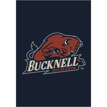 Bucknell Bisons 7' 8" x 10' 9" Team Spirit Area Rug
