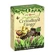 Ginger People Organic Crystallized Ginger Box -- 4 oz Each