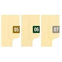 End Tab Folder Labels, Year 2008, Red Color Bar, 1w x 1/2h, 250 Per Pack (SMD67908) Category: File Folder Labels