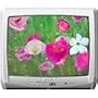 Sansui 19-Inch DTV1900 Digital Television, Silver