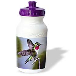 Birds - Hummingbird, Bird - Water Bottles by
