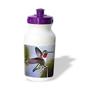 Birds - Hummingbird, Bird - Water Bottles by 