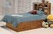 Traditional City Park II Twin Captain's Bed