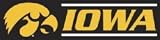 BIA Iowa College 8Foot x 2Foot Banner