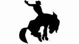 Putco 99930 Designer Body Art 7x7 Bucking Bronco