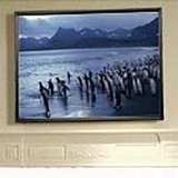 8FT Diagonal Accuscreens Ntsc Fixed Soundscreen Matt White