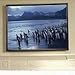 8FT Diagonal Accuscreens Ntsc Fixed Soundscreen Matt White