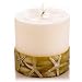 Mandara Spa 3 inch Starfish Pillar Ivory & Antique Green Candle
