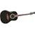 Applause AA21 Acoustic Guitar, Natural