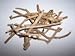 1 OZ. Silene capensis--Xhosa Dream Root, Ubulawu