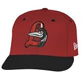 Great Lake Loons New Era 2008 Onfield 59FIFTY