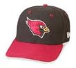 Arizona Cardinals NFL Team Logo Fitted Cap by Reebok