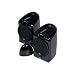 SPEAKERS, AUDIOVOX, WIRELESS STEREO