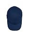 Flexfit Brushed 6-Panel Cap