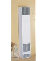 Home Improvement: Williams Direct Vent Propane Wall Furnace 62,500 BTU - Williams