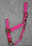 Hamilton Halter Company 5-8 1 Adj Chin Halter W Snap Hot Purple Small - 1DAS SMHP
