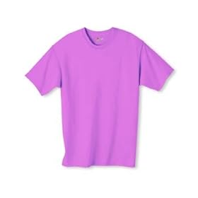 Hanes Tagless Short Sleeve T