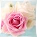 The New Arrive 2015 Pastel Rose Shabby Chic Print Aqua White Cottage Flower Floral Pillow Cases - 18x18