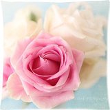 The New Arrive 2015 Pastel Rose Shabby Chic Print Aqua White Cottage Flower Floral Pillow Cases - 18x18