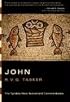 The Gospel According to John: An Introduction and Commentary (Tyndale New Testament Commentaries)