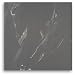 MJ1Q Protos Laky Polished 16x16