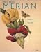 Maria Sibylla Merian : Artist and Naturalist