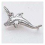 Dolphin Charm