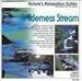 Nature's Relaxation Suites: Wilderness Stream