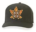 Minor League Baseball Cap - Bakersfield Blaze Home Cap by New Era