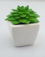 Iplant Artificial Like-real Plant Car and Multiple-used Ornament (African Aloe)