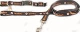 Pittsburgh Steelers Pet Accessories Set - Large (6' Leash, Collar, and ID Tag)