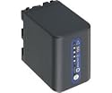 Sony NP-QM91D Lithium-Ion Battery for DCR-DVD101, 201, 301, SR1 & HDR-HC1 Camcorders