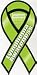 New Design Green Lymphoma Awareness 8 Car Magnet