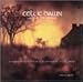 Celtic Dawn: Tales of the New Age