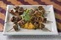 Grilled Shish Kebab w/ Fries
