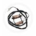 MOOSE STATOR HD-KEF/KLF300 ESG040 Image