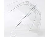 Clear Bubble Umbrella