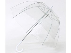 Clear Bubble Umbrella