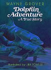 Dolphin Adventure