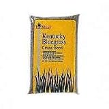 Kentucky Blue Grass Seed, 25 lb