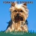 Yorkshire Terriers 2006-2007 Academic Year Wall Calendar
