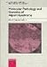 Molecular Pathology and Genetics of Alport Syndrome (Contributions to Nephrology)