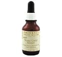 Eminence Organic Skincare. Stone Crop Serum