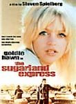 THE SUGARLAND EXPRESS laserdisc