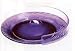 Large Clear Plate Guard - Keeps Food from Falling off Edge of Plate